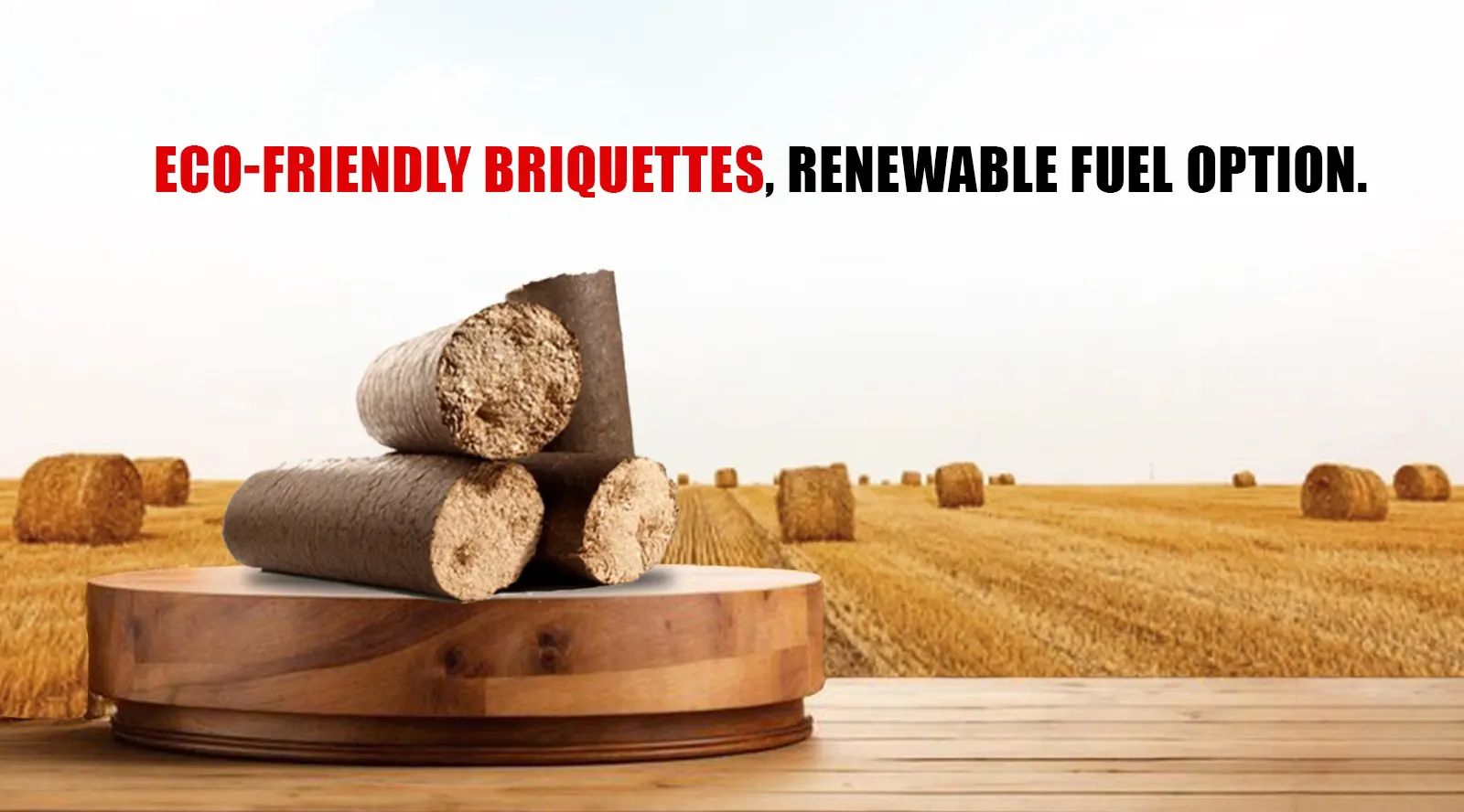 What are Biomass Briquettes? Uses and its Benefits - Ecostan Biofuel ...